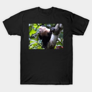 White faced monkey, la Gloria de Puriscal T-Shirt